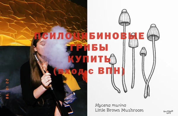 ГАЛЛЮЦИНОГЕННЫЕ ГРИБЫ Балабаново