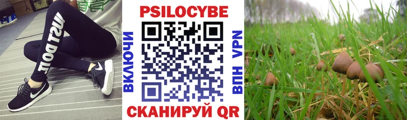 Псилоцибиновые грибы Psilocybine cubensis Кувандык